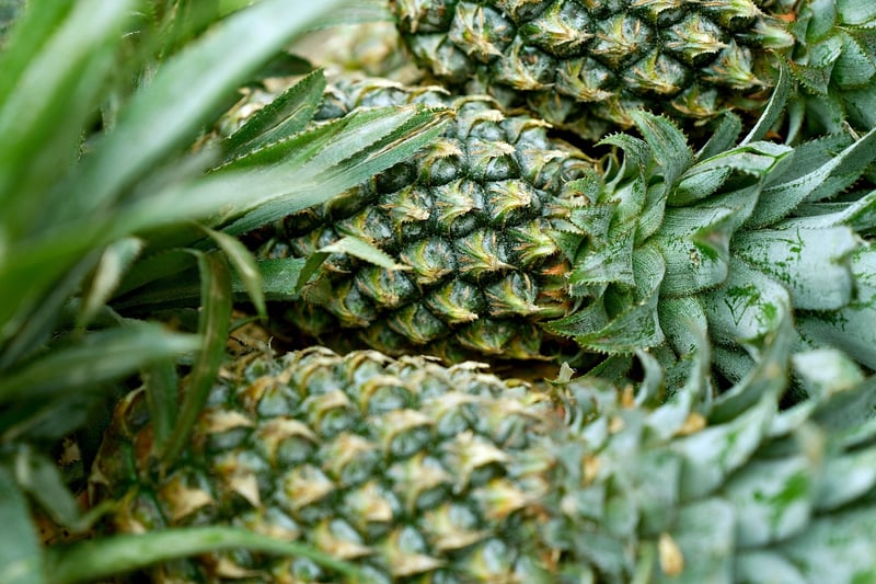 Pineapple Decor